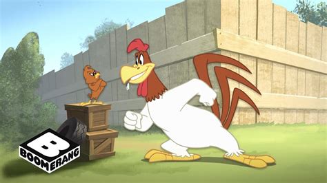 looney tunes chicken hawk